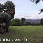 Profile Picture of Augusto Arce (@augusto.arce.9085) on Instagram