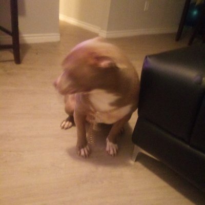 Profile Picture of Isiah Jenkins (@IsiahJenkins7) on Twitter