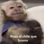 Profile Picture of Tom Metz (@Tom-Metz) on Facebook