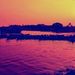 Profile Picture of S. Gurunathan (@GurunathanS) on Pinterest