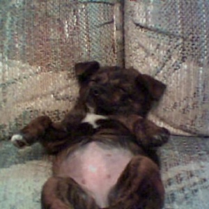 Profile Picture of Destiny Poos (@ddpoos) on Myspace