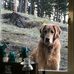 Profile Picture of Chris Naugle (@chris.naugle.5) on Facebook