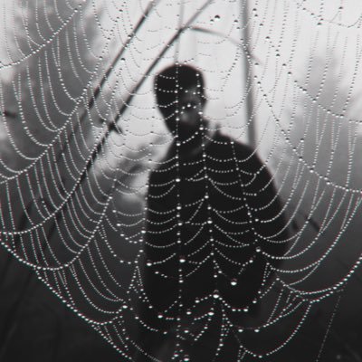 Profile Picture of Blake Rizzo  💫 🎥 (@RizzoBlake) on Twitter