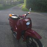 Profile Picture of Max Eckert (@eckert.max) on Instagram