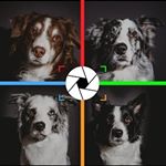 Profile Picture of ᴀɢᴀᴛʜᴀ - ɢʀᴇʏ - ᴛʀᴀᴠɪs - ɪʀɪsʜ (@bordervloz) on Instagram