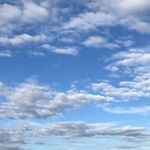 Profile Picture of Joelouisnunn alt account (@joelouisnunnalt) on Instagram