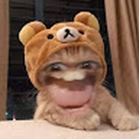 Profile Picture of Tariq Ibrahim (@tariq-ibrahim-59) on Quora