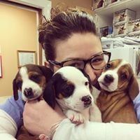 Profile Picture of Kim Mcgrath (@kim-mcgrath-18) on Quora