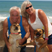 Profile Picture of Ginny Harrison (@Ginswim) on Youtube