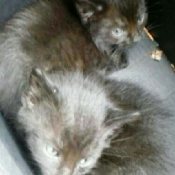 Profile Picture of John Duff (@john_d69) on Poshmark