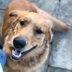 Profile Picture of Randy Galvan (@galvanrandy84) on Instagram