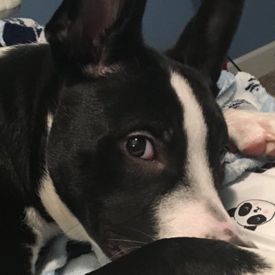 Matthew Zaleski - Twitter Profile Picture of Matthew Zaleski (@ZaleskiMatthew) on Twitter