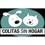 Profile Picture of Colitas sin hogar (@colitassinhogar) on Instagram