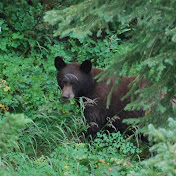 Profile Picture of Eric Lambert (@ericlambert-evdriver) on Youtube