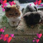 Profile Picture of Minnette M Richey (@minnettemiller) on Instagram