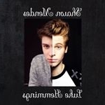 Profile Picture of Shawn Mendes - Luke Hemmings (@xshawnhemmings) on Instagram