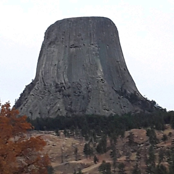 Teagan Ceplecha - Poshmark Profile Picture of Teagan Ceplecha (@cep2closet) on Poshmark