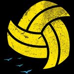 Profile Picture of Better at Beach Volleyball (@betteratbeachvolleyball) on Instagram