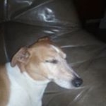 Profile Picture of MAnfred Kempf (@manfred.kempf.370) on Instagram