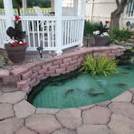 Profile Picture of Marsha Roll (@marsha.roll.7) on Facebook