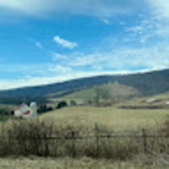 Profile Picture of June Muller (@junemuller) on Poshmark