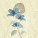 Profile Picture of Xiaohong Gu (@profile.php) on Facebook