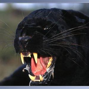 Profile Picture of Sonia Haddad (@soniahaddad27) on Twitter