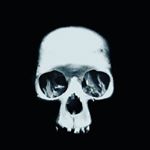 Profile Picture of Shaul Stark (@the_useless_guy_) on Instagram