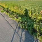 Profile Picture of Derek Kress (@derek.kress.9) on Facebook