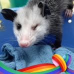 Profile Picture of Bee Brock (@Bee-Brock) on Facebook