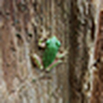 Profile Picture of Hiromichi Miyajima (@hilophone) on Flickr