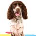 Profile Picture of Toby Hobbs (@Toby-Hobbs) on Facebook