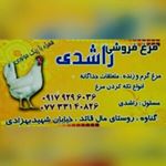 Profile Picture of jafar__rashedi (@jafar__rashedi) on Instagram