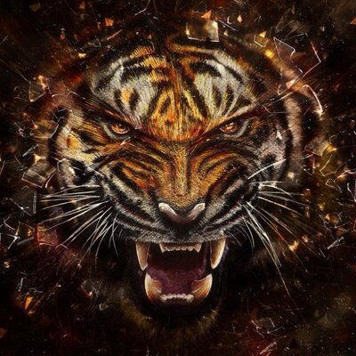 Profile Picture of Brian Dorn (@bdornbig) on Twitter