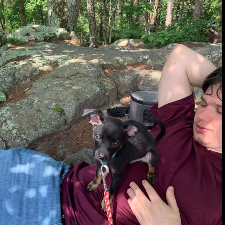 Profile Picture of Martha Burton (@panthergirl2017) on Tiktok