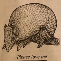 Profile Picture of Luis Vanegas (@luis-vanegas-5) on Quora