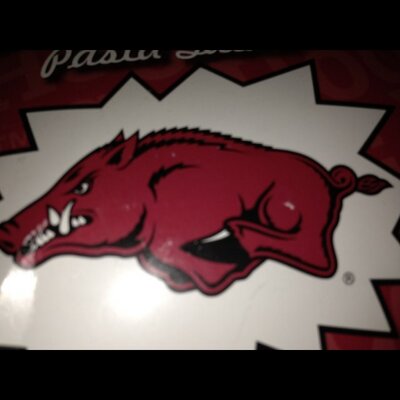 Profile Picture of John Diffin (@crazyskunkjohn) on Twitter