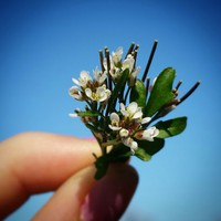 Hannah Kohr - Quora Profile Picture of Hannah Kohr (@hannah-kohr-3) on Quora