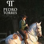 Profile Photo of Pedro Torres (@pedrotorres_equitation) on Instagram