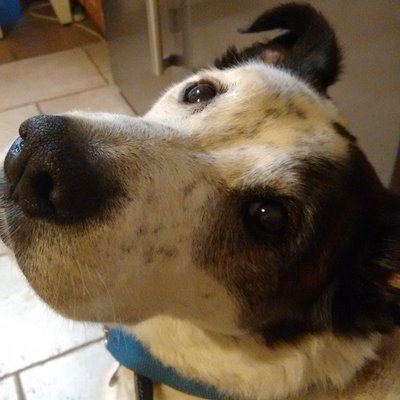 Profile Picture of Chris (@Chris4man) on Twitter