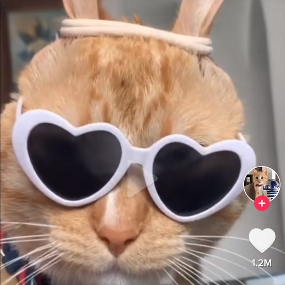 Profile Picture of Blake Shaw (@blake_shaw) on Poshmark