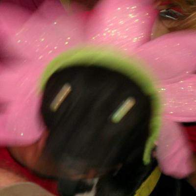 Profile Picture of Brad Sheffield (@@dr_swarzenegger) on Twitter