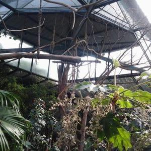 Profile Picture of Valentin Becerra (@ValenBcra) on Twitter