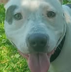 Caine Buskirk - Facebook Profile Picture of Caine Buskirk (@caine.buskirk.2025) on Facebook