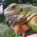 Profile Picture of Jonathan Hufty (@johno941) on Instagram