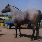 Profile Picture of Cirilo Lira (@clrilo) on Facebook