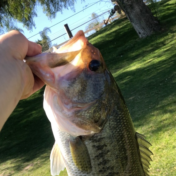 Profile Picture of Danny Ibarra (@offwhite305) on Poshmark