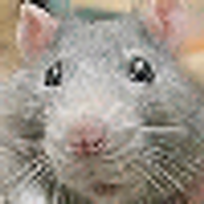 Profile Picture of Howard Crowell (@bosats) on Twitter