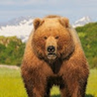 Profile Picture of Calvin Gin (@calvin-gin-4) on Quora