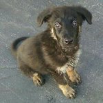 Profile Picture of Shawn Philpott (@spracin24) on Instagram